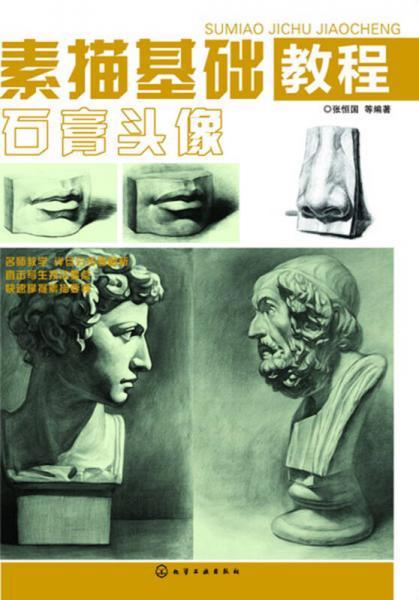 素描基礎(chǔ)教程. 石膏頭像