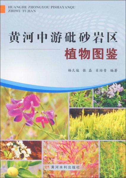 黃河中游砒砂巖區(qū)植物圖鑒 