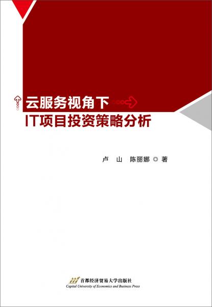 云服務(wù)視角下IT項目投資策略分析
