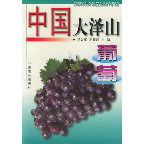 中國(guó)大澤山葡萄