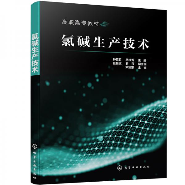 氯堿生產(chǎn)技術(shù)（種延竹）