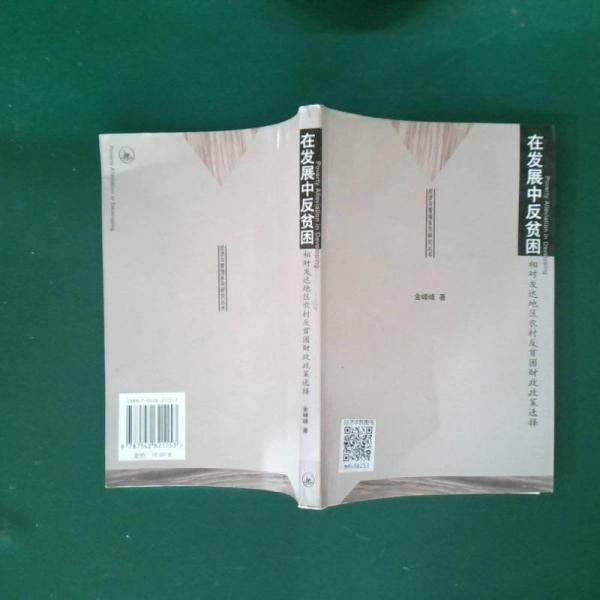 在發(fā)展中反貧困:相對發(fā)達(dá)地區(qū)農(nóng)村反貧困財政政策選擇