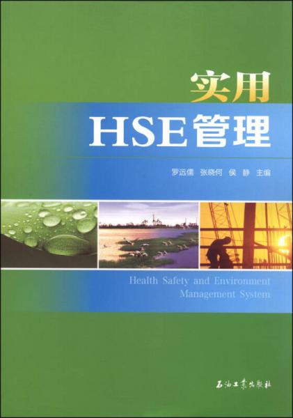 實用HSE管理