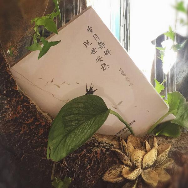 岁月静好 现世安稳