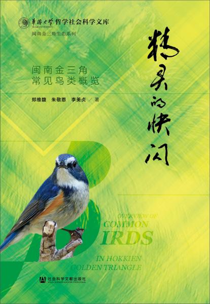 精靈的快閃：閩南金三角常見鳥類概覽
