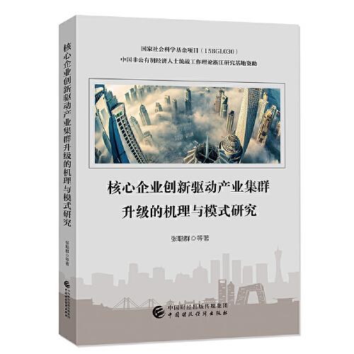 核心企業(yè)創(chuàng)新驅(qū)動(dòng)產(chǎn)業(yè)集群升級(jí)的機(jī)理與模式研究