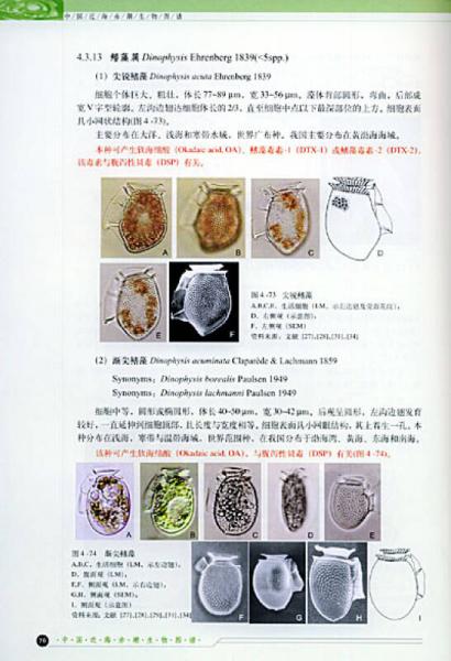中国近海赤潮生物图谱