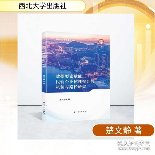 數(shù)據(jù)要素賦能民營企業(yè)韌性提升的機制與路徑研究