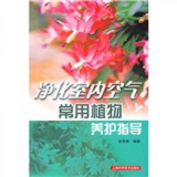 净化室内空气常用植物养护指导