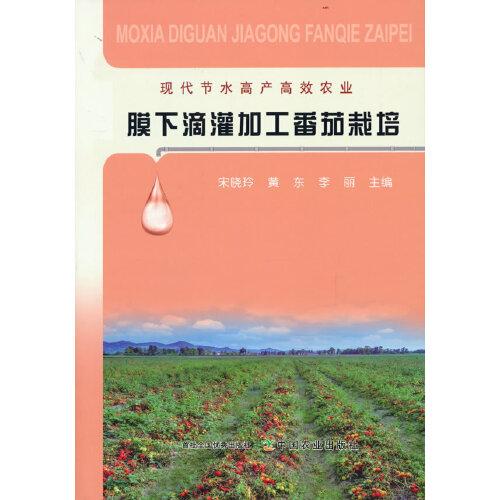 膜下滴灌加工番茄栽培