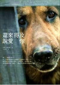還來(lái)得及說(shuō)愛(ài)你 