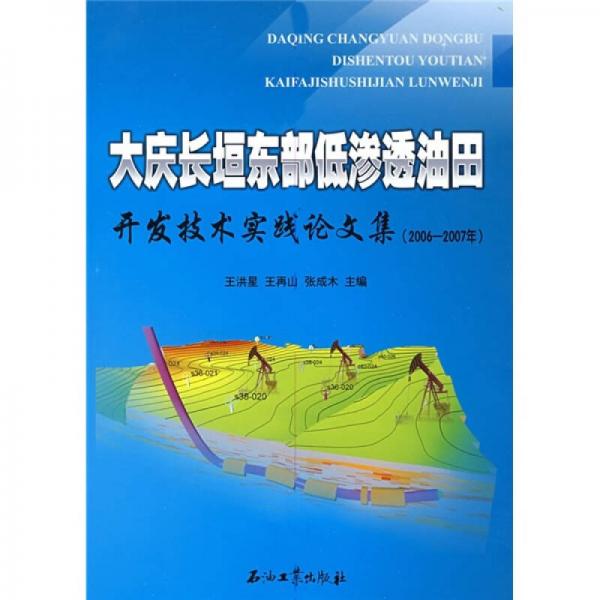 大慶長垣東部低滲透油田開發(fā)技術(shù)實踐論文集（2006-2007年）