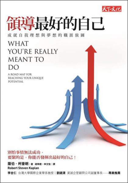 領(lǐng)導(dǎo)最好的自己：成就自我理想與夢想的職涯旅圖