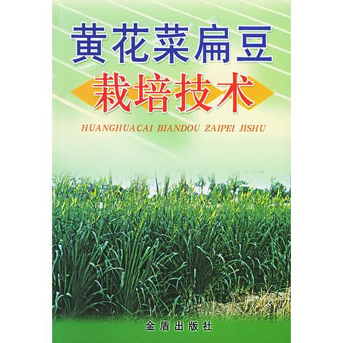 黄花菜扁豆栽培技术
