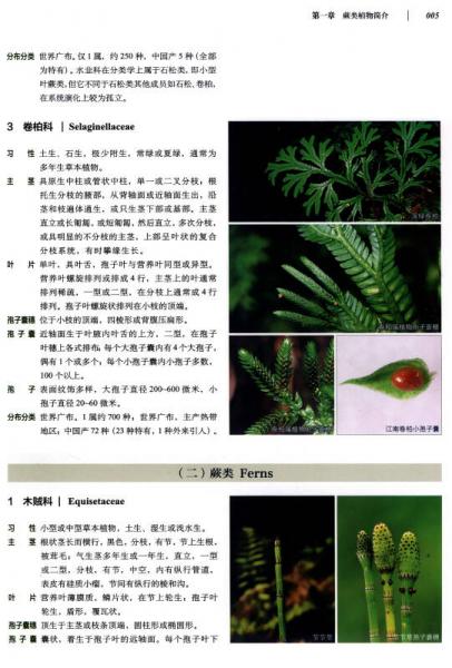 蕨類植物遷地保護(hù)的方法與實(shí)踐