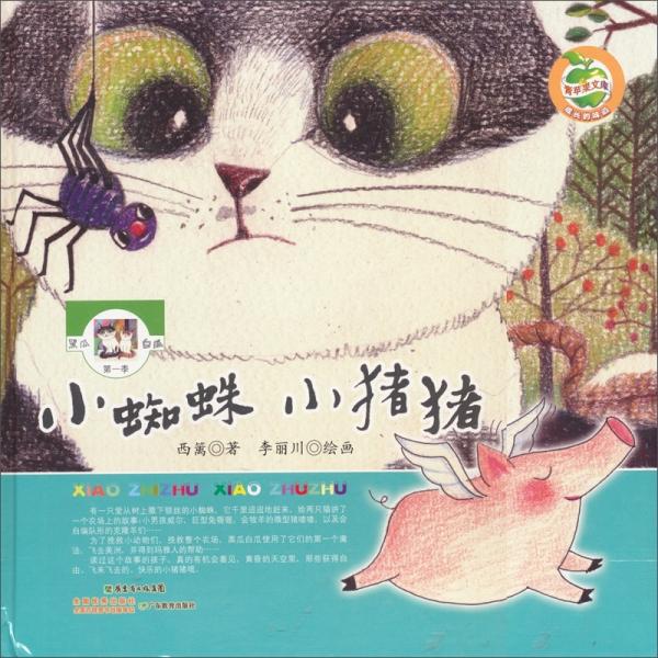 小蜘蛛 小豬豬