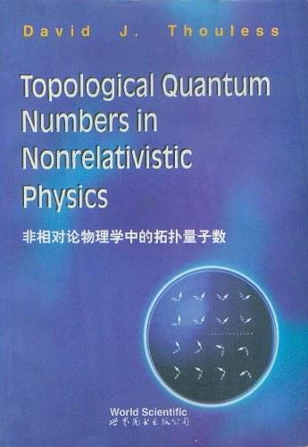 非相对论物理学中的拓扑量子数