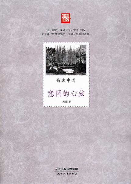 憩園的心弦