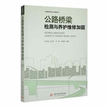 公路橋梁檢測(cè)與養(yǎng)護(hù)維修加固/工程建設(shè)理論與實(shí)踐叢書(shū)