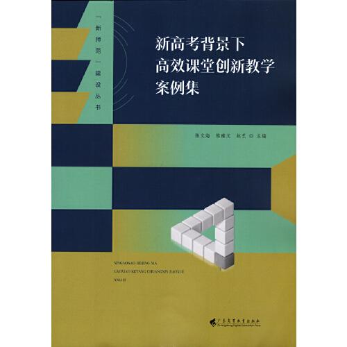 新高考背景下高效课堂创新教学案例集（“新师范”建设丛书）