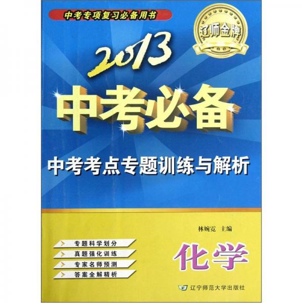 遼師金牌·2013中考必備·中考考點專題訓練與解析：化學