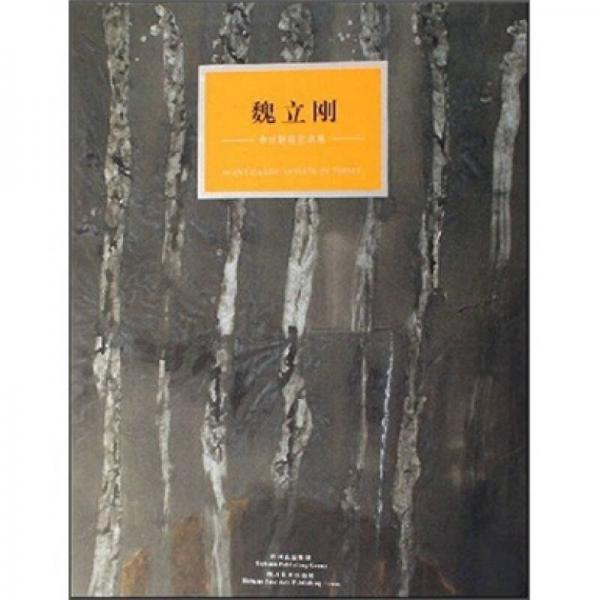 今日新銳藝術(shù)家：魏立剛