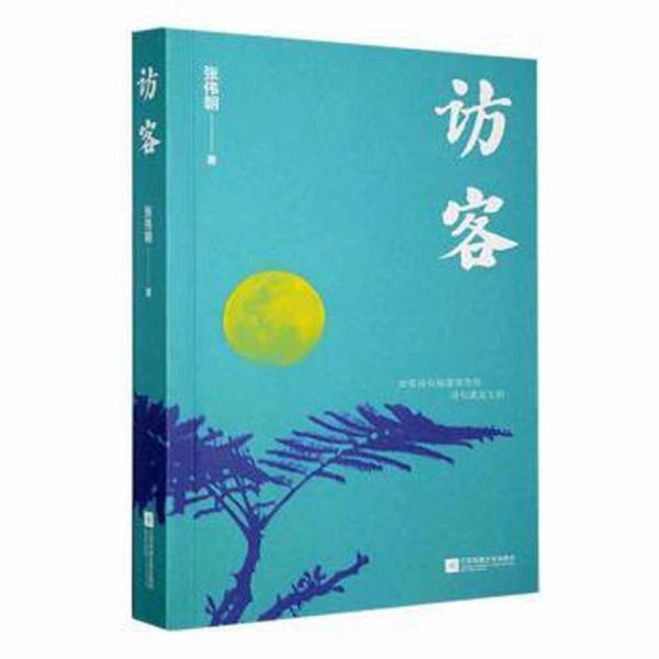 全新正版圖書 訪客張偉超江蘇鳳凰文藝出版社9787559476562