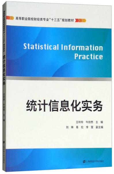 統(tǒng)計(jì)信息化實(shí)務(wù)