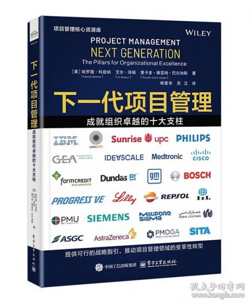 下一代项目管理：成就组织卓越的十大支柱