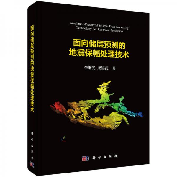 面向儲(chǔ)層預(yù)測的地震保幅處理技術(shù)