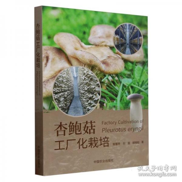 杏鲍菇工厂化栽培