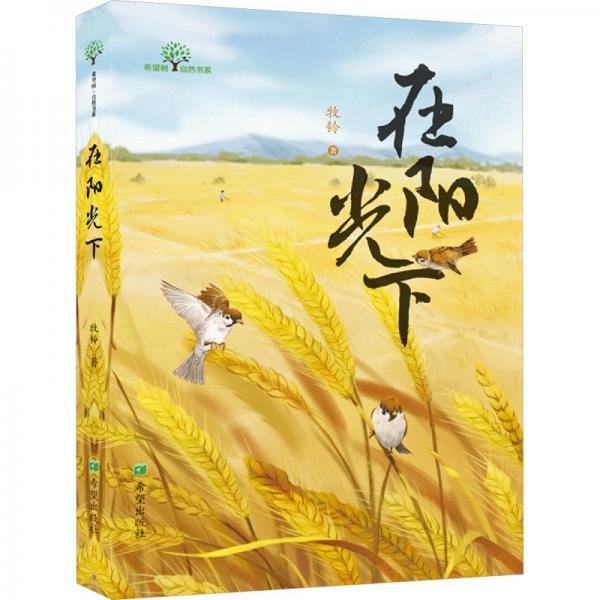 在陽光下