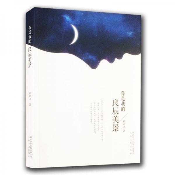 全新正版現(xiàn)貨  你是我的良辰美景 9787551309349