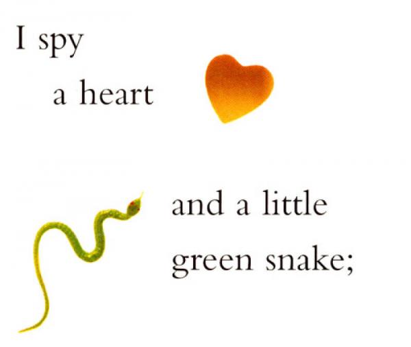 I Spy: Little Hearts视觉大发现系列：心型物