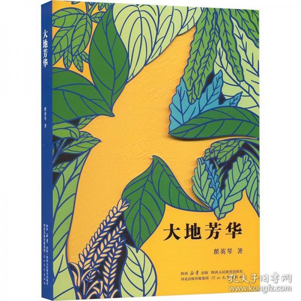 大地芳华