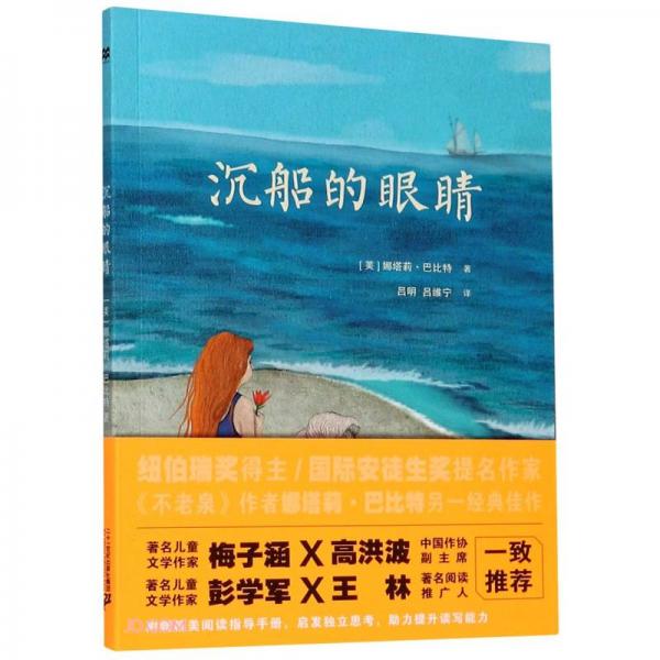 沉船的眼睛