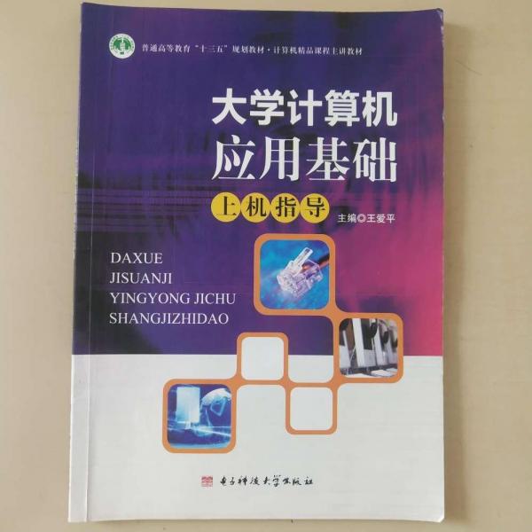大學計算機應(yīng)用基礎(chǔ)上機指導 王愛平 丁曉梅 電子科技大學出版社 9787564746100