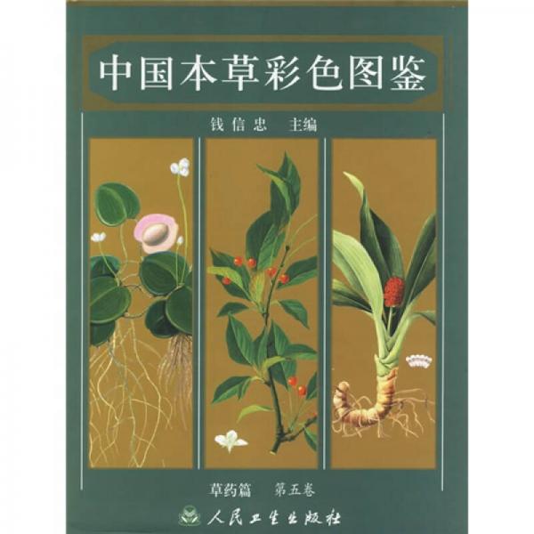 中国本草彩色图鉴第5卷：草药篇