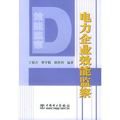 电力企业效能监察