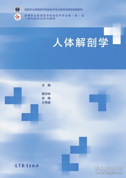 人體解剖學