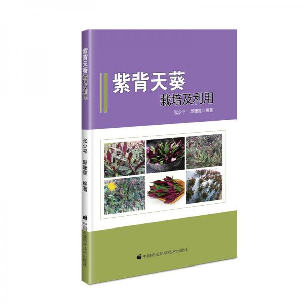 紫背天葵栽培及利用