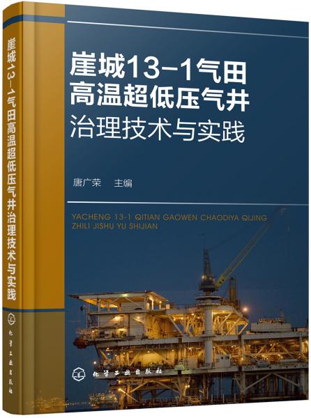崖城13-1气田高温超低压气井治理技术与实践