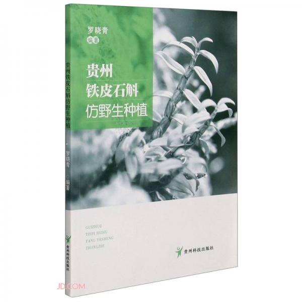 貴州鐵皮石斛仿野生種植