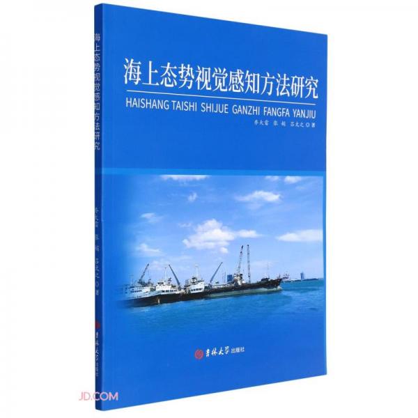 海上態(tài)勢(shì)視覺感知方法研究