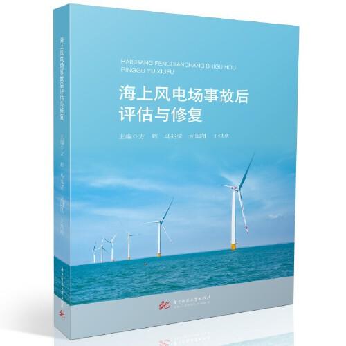 海上風(fēng)電場事故后評估與修復(fù)