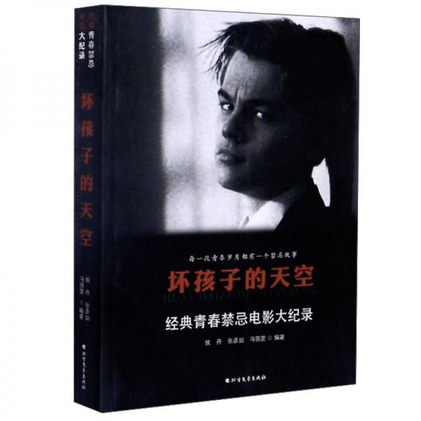 壞孩子的天空：經(jīng)典青春禁忌電影大紀(jì)錄