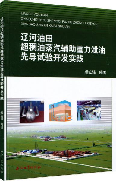 遼河油田超稠油蒸汽輔助重力泄油先導(dǎo)試驗(yàn)開發(fā)實(shí)踐