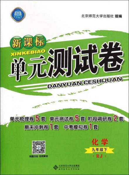 新课标单元测试卷：化学（九年级下 RJ）