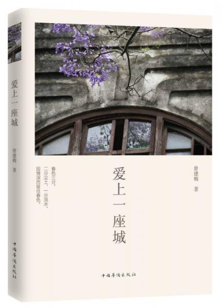 愛上一座城