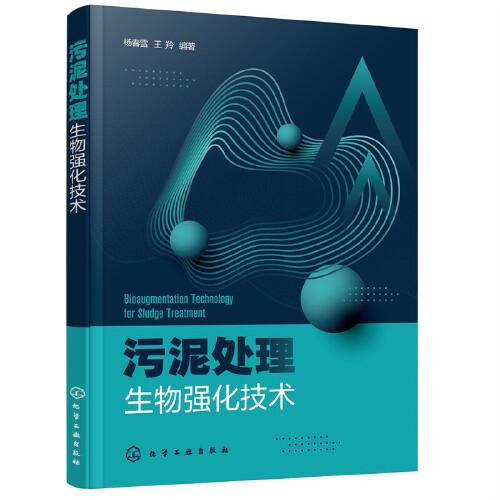污泥處理生物強化技術